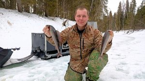 Хариус на лесной речке \ Март 2026 \ Часть 7