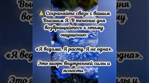 Квантовый прогноз на сегодня, 08.04.2026г.