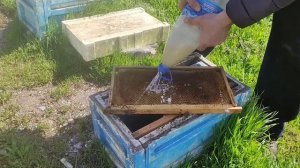 весенние выравнивание пчелиных семей