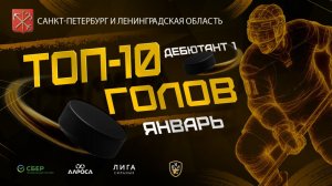 ТОП 10 ГОЛОВ / ДЕБЮТАНТ 1 / САНКТ-ПЕТЕРБУРГ/ ЯНВАРЬ