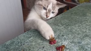 ТАК ЕСТЬ ХОЧЕТСЯ! НУ,ХОТЬ ПЕРЦА ДАЙТЕ ,ПОЖАЛУЙСТА !