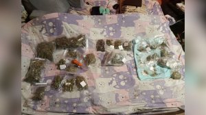 Однушка с личным садом