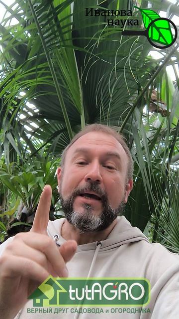 Стоп! Не высаживайте рассаду, пока не посмотрите это. Роковая ошибка: почему спешка погубит урожай.