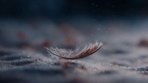 Две половинки сл А Фоминых