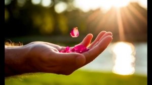 медленно падает