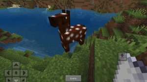 Майнкрафт, когда... #2 ПОКОРМИЛ ЛОДАШКУ НА ПОЛЕ САХАРОМ