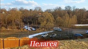 ПЕЛАГЕЯ🌺10 лет☀️🕊️🌻🌿,, ВЕСНЯНОЧКА,, 🌿🌻 славянская песня🪗🎶