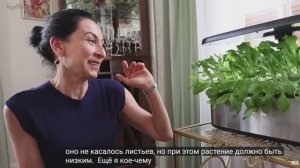 Гидропоника и Кололак. СУБТИТРЫ. Эгине