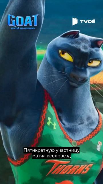 Мультфильм 