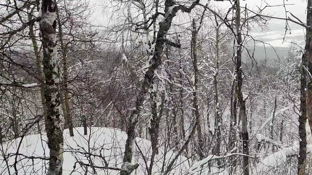 08.03.2026. Башкирия, Крака, хутор Яндык смотреть онлайн