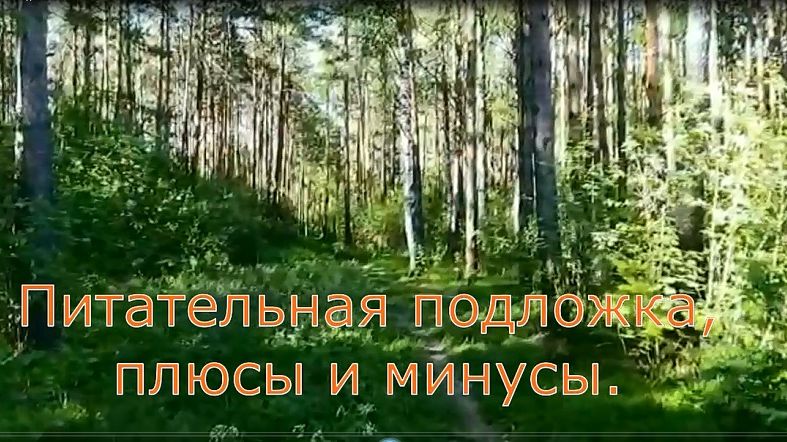 Питательная подложка, плюсы и минусы.