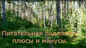 Питательная подложка, плюсы и минусы.