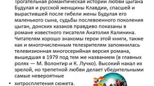 Библиомикс. Цыгане.