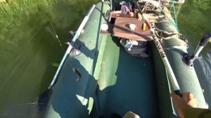 ТУТ РЫБА КИШИТ!!! МЕЧТА...ПОКЛЁВКИ ТОЛЬКО ОПУСКАЙ