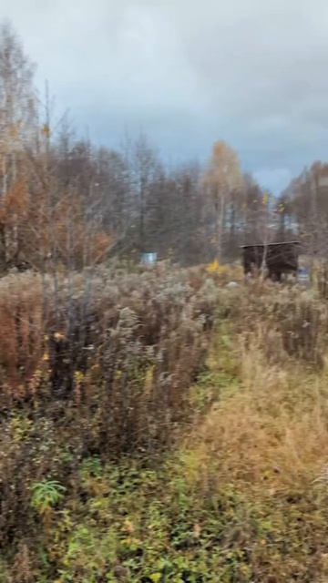 Хабаровская