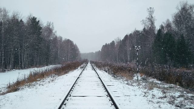 Н. Некрасов. Железная дорога