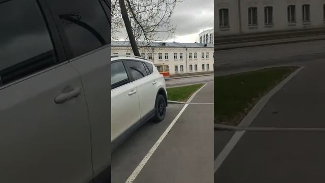 Мы идём гулять с собакой! | 8-апр-2026 3