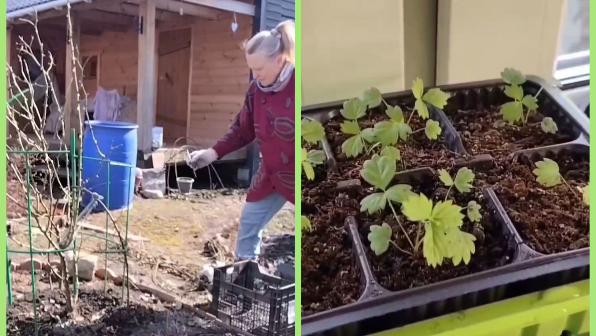 Благовещение Богородицы 🐦 иду в церковь. Работы в саду.