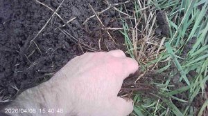 Ответ на вопрос: "Кто сеет сорняки в огороде" ?