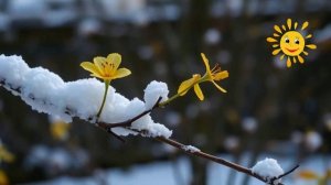 Сон...(клип душевный...к Пасхе)