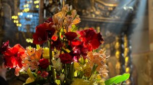 2023 4 апр 10 смерть и похороны мамы