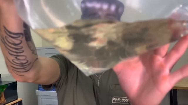 Покупка самого жуткого ящика для живых животных в Интернете