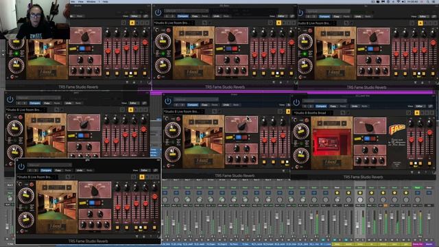 15.T-RackS FAME Studio Reverb - Mixing Bob Marley Multitrack