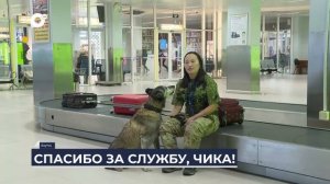 Дальний Восток на связи / Собака на пенсии