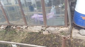 Дела в саду, продолжение. 07.04.26 г.