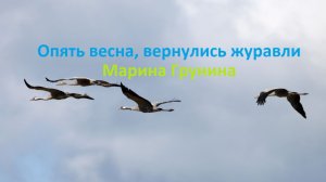 Опять весна, вернулись журавли. Романс. А.Цфасман. Поет Марина Грунина