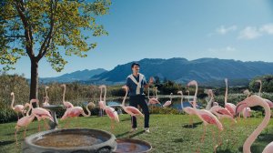 С Т2 выгодно всем