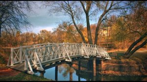 М. Лермонтов. Как часто, пёстрою толпою окружён...