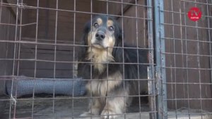 ДОБРЫЕ ДЕЛА ОБЪЕДИНЯЮТ! ВАЖНЫЙ ДЕНЬ ДЛЯ ФОНДА «КИРЮШКА»