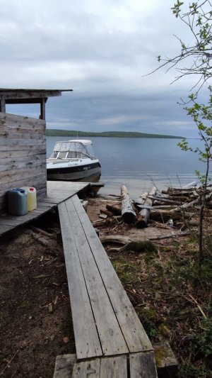 Изба в Карелии № 342. Озеро «Пяозеро»