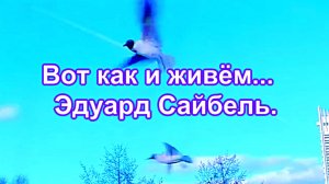 Вот как и живём...  Эдуард Сайбель