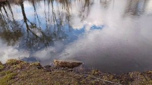 lv_0_20260408173145.mp4