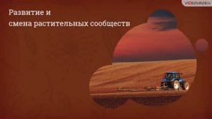 Развитие и смена растительных сообществ