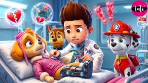 Щенячий патруль и Маршалл. Залипательное видео. Мультфильм для детей и малышей. Анимация 381