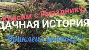 ДАЧНАЯ ИСТОРИЯ! ГОТОВИМСЯ К ПРАЗДНИКУ! ПРИКЛЕИЛ УНИТАЗ!!!