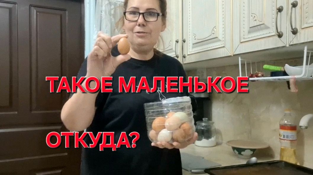 1160 Дождь заливает.Похолодание пришло на Кубань.Жизнь в станице на юге.