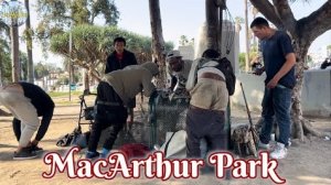 Пятничный вечер в парке Мак Артур. Лос-Анджелес, Калифорния. США