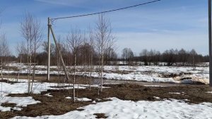 участок рядом с рекой в Шоя-Кузнецово