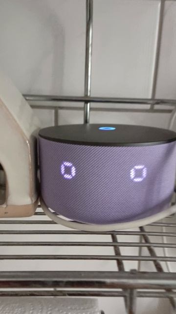 Да уж перевила...🤣