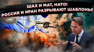 НАТО — «бумажный тигр»: Россия, Иран и Украина переписали правила войны и разоблачили Альянс