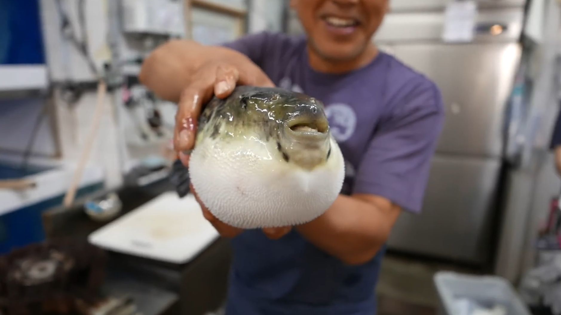 Уличная еда Японии. Опасная рыба фугу.