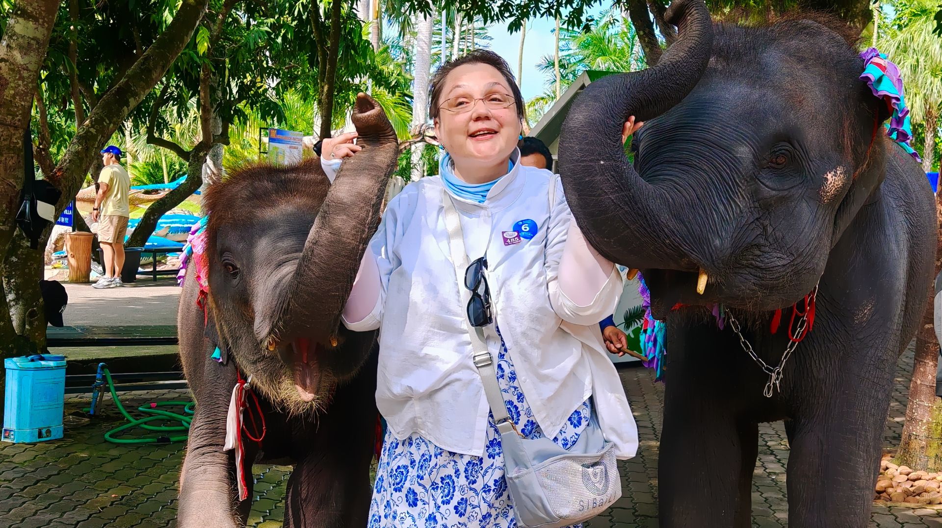 Паттайя, Тайланд. Экскурсия в тропический сад Нонг Нуч. Обнимашки со слонами, динозавры, музей авто