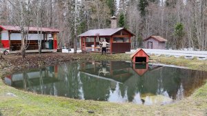 Лед в Пруду Растаял! Рыба Спасена!