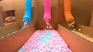 Настя с друзьями придумывают веселые игры