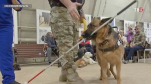 В Московской области стартовал конкурс "Рядом с героем"