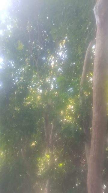 Красиво. И грустно. Ко Кхам в 2025 году